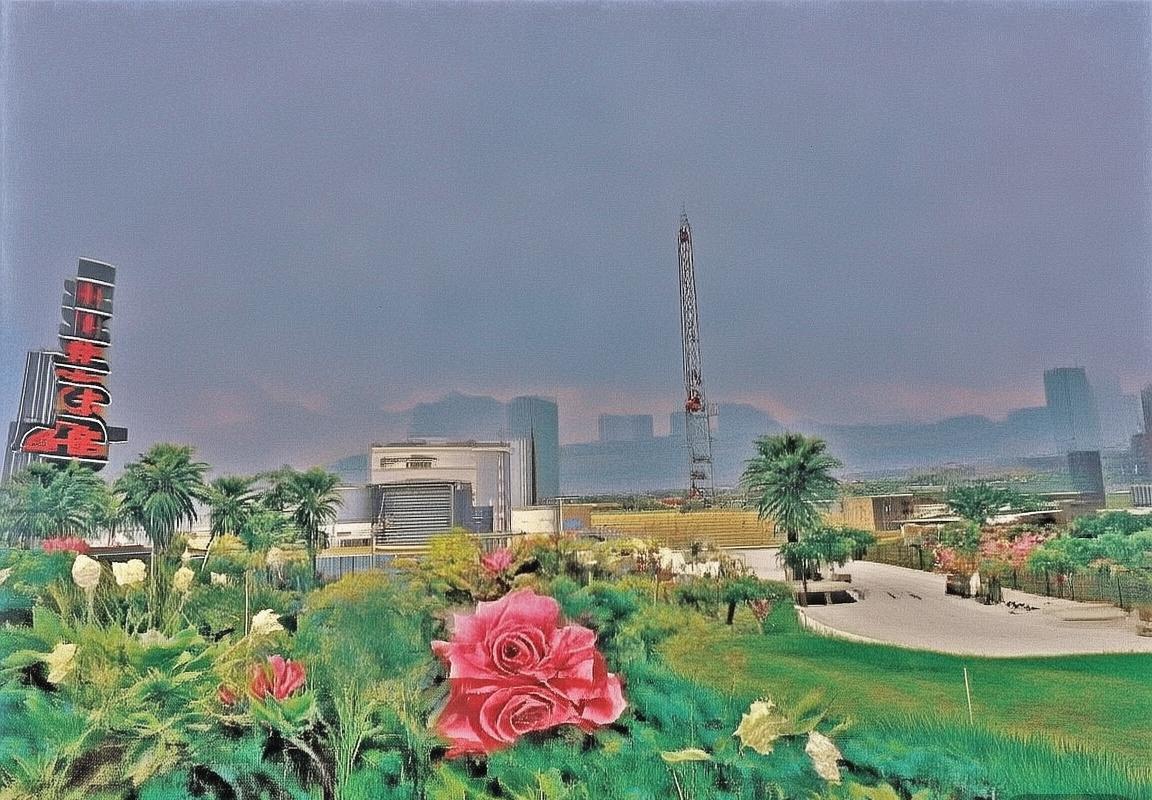 樊振东VS王励勤：巅峰对决中的中国乒乓球传承与创新(图3)